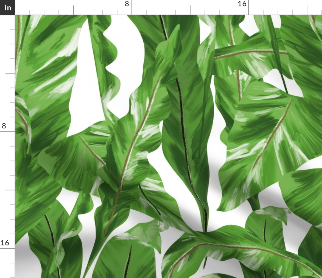 Tropical Green Leaves