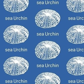 Nautical letter U  -Sea Urchin
