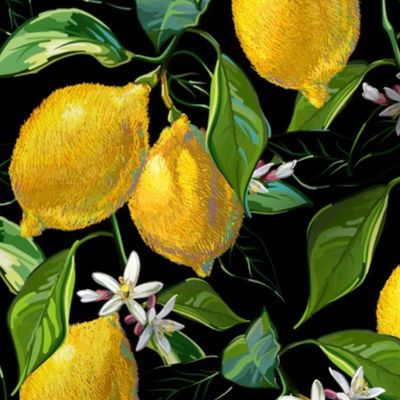 Fresh Lemons | Solid Black
