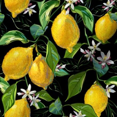Fresh Lemons | Small | Solid Black