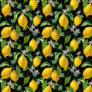 Fresh Lemons | Small | Solid Black