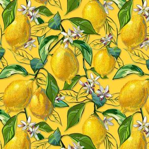Fresh Lemons | Large |  Solid Yellow