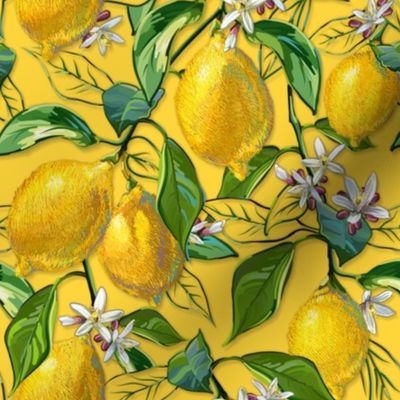 Fresh Lemons | Small |  Solid Yellow