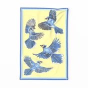 Blue Jays on yellow tea towel