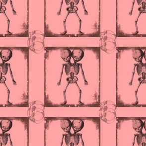 Pink Black Vintage Medical Conjoined Fetal Skeleton Oddity Fabric Curiosity Cabinet