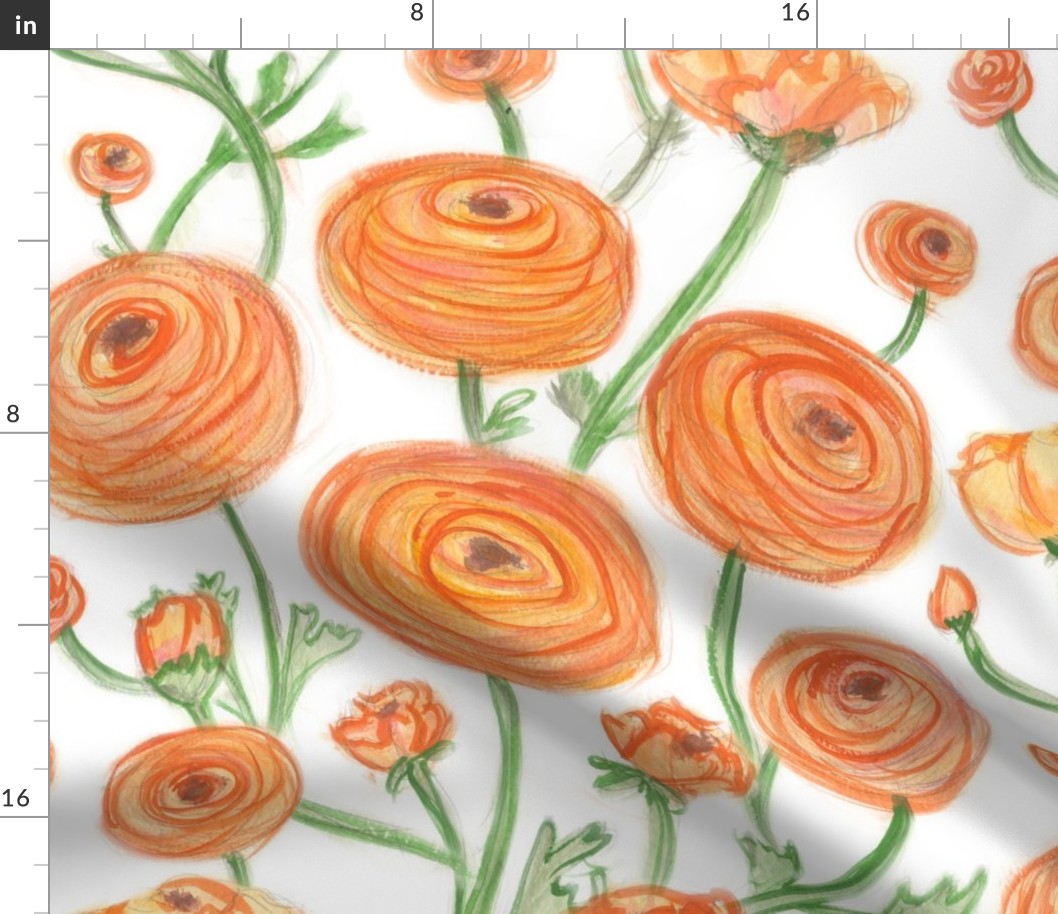 Orange Ranunculus