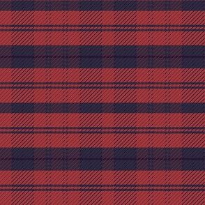  Cute red plaid seamless pattern.