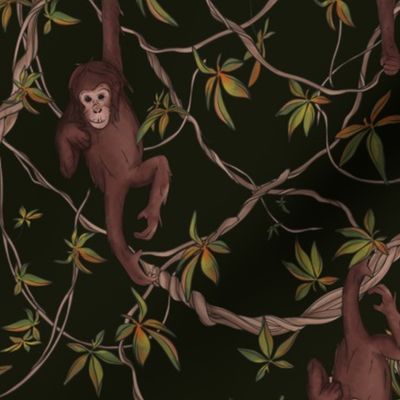 Monkey chimpanzee dark