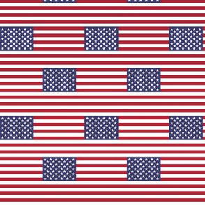 USA Flag - Small