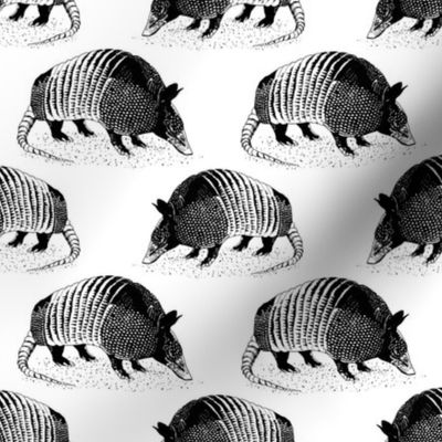 Armadillo Black and White 4x4