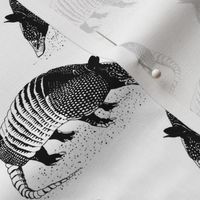 Armadillo Black and White 4x4