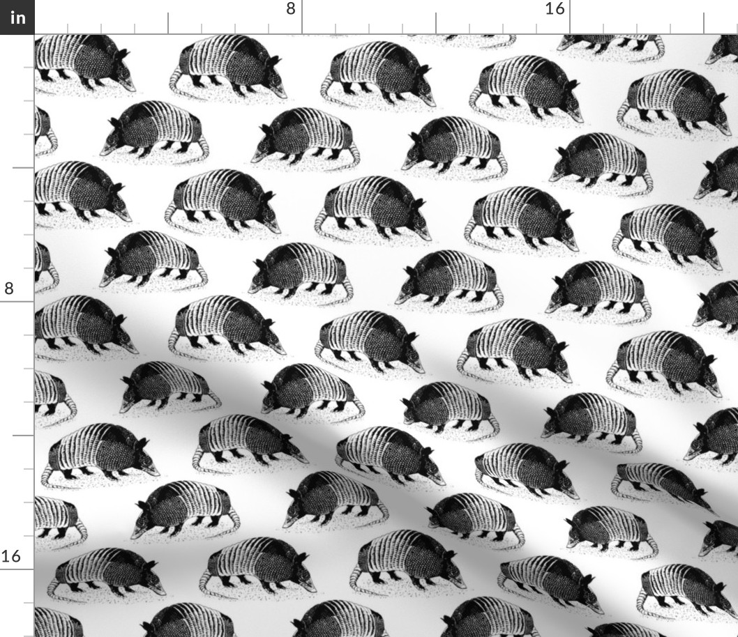 Armadillo Black and White 4x4