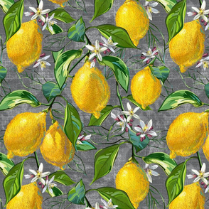 Fresh Lemons | Large | Gray Faux Texture