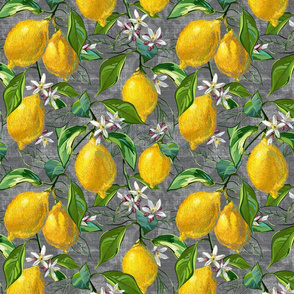 Fresh Lemons | Gray Faux Texture