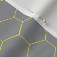 ultimate gray and illuminating honeycomb