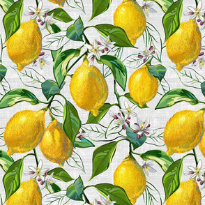 Fresh Lemons | Large | White Faux Texture