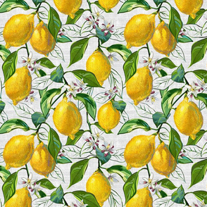 Fresh Lemons | White Faux Texture