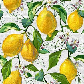 Fresh Lemons | Sm | White Faux Texture