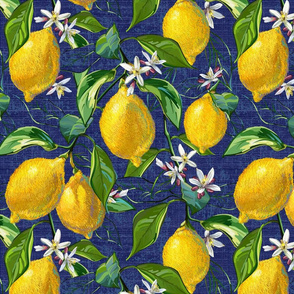 Fresh Lemons | Large | Blue Faux Texture