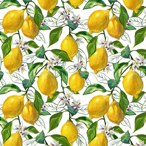Fresh Lemons | Solid White