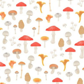 pnw mushrooms
