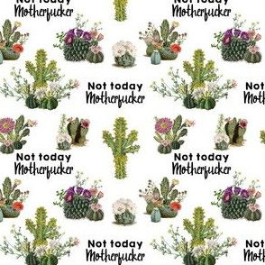 Mature - Not Today Motherfucker Cactus