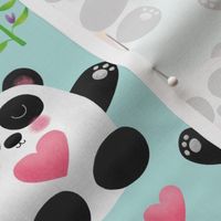 Playful Pandas