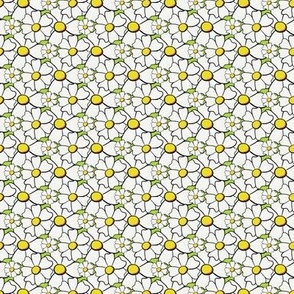 (small) SF Lemon Lime, Carrot on Lime // Party Daisies // Whimsical Bright flowers // spoonflower's solids coordinates