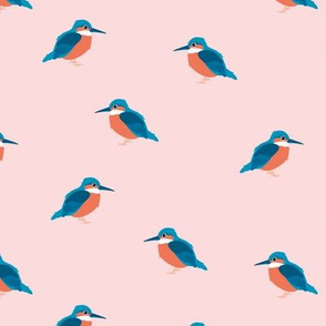 Minimalist garden kingfisher birds cute neutral nursery trend design blush pink orange blue