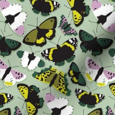 butterflies pattern 3