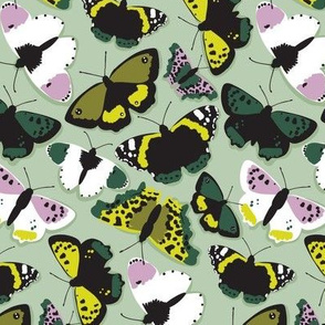 butterflies pattern 3