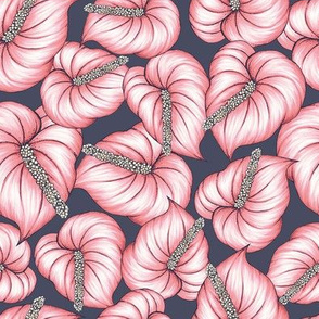 Anthurium - Pink and Navy