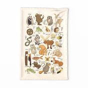 WOODLAND ANIMAL ALPHABET-CREAM