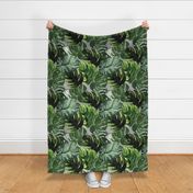 monstera tropical leaves on gray