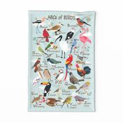 ABCs of Birds 