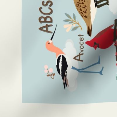 ABCs of Birds 