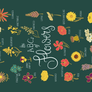 Hand-Lettered ABCs of Flowers on Pine Green