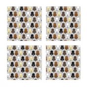 mixed poodle fabric - cute poodle faces