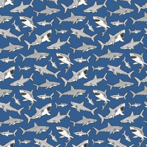 Sharks Shark Grey on Navy Blue Smaller 1,5 inch