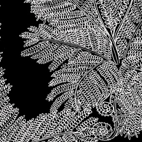 HAPU'U FERN LAARGE black and white