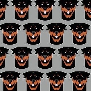 Smiling Rottweilers on gray