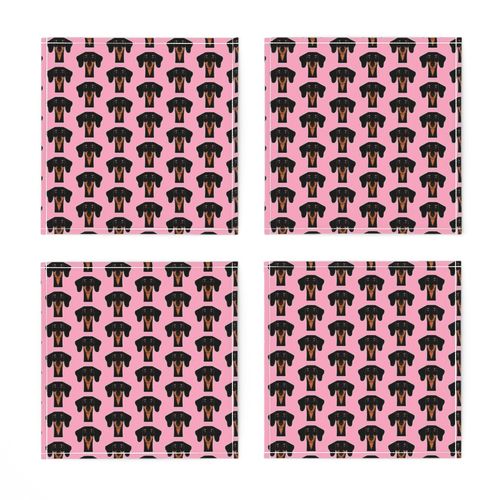 Dachshunds on pink - Doxie fabric