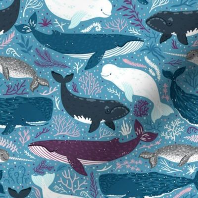 Whales. Blue background. Big scale