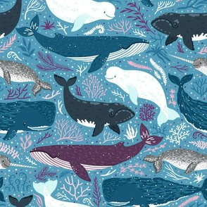 Whales. Blue background. Big scale