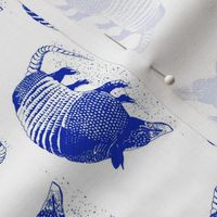 Armadillo Blue on White 4x4 sideways