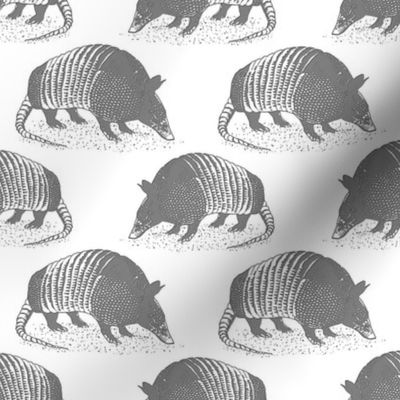 Armadillo Gray and White 4x4