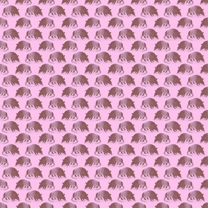 Armadillo Mauve on pink 2x2