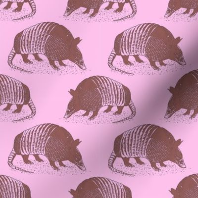 Armadillo Mauve on pink 4x4