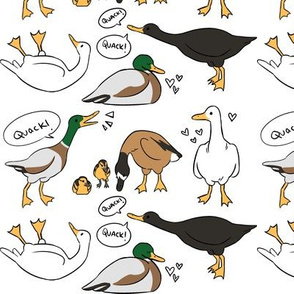 ducks 