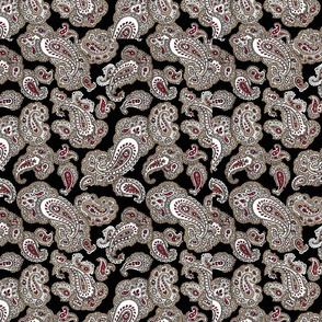 Paisley Pattern_Black